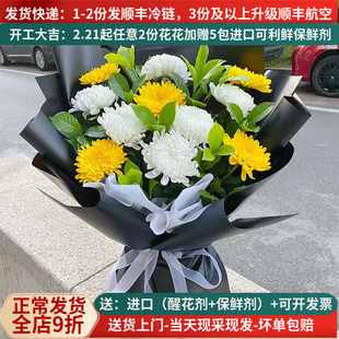 清明花束鲜菊花插花黄白大菊花鲜花直批直供云南基地昆明家用水养