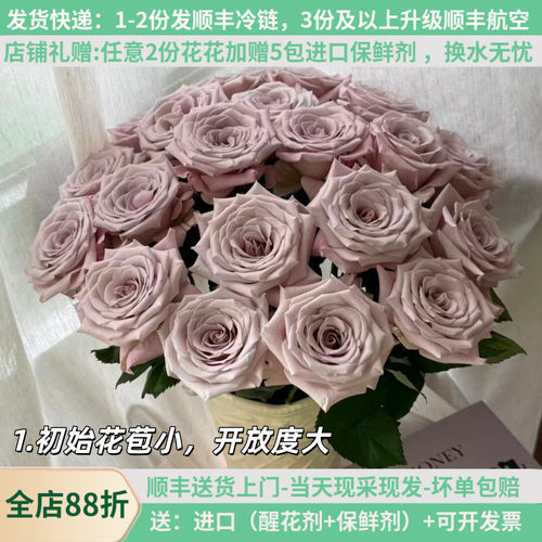 A级稀有玫瑰鲜花曼塔灰色情人节