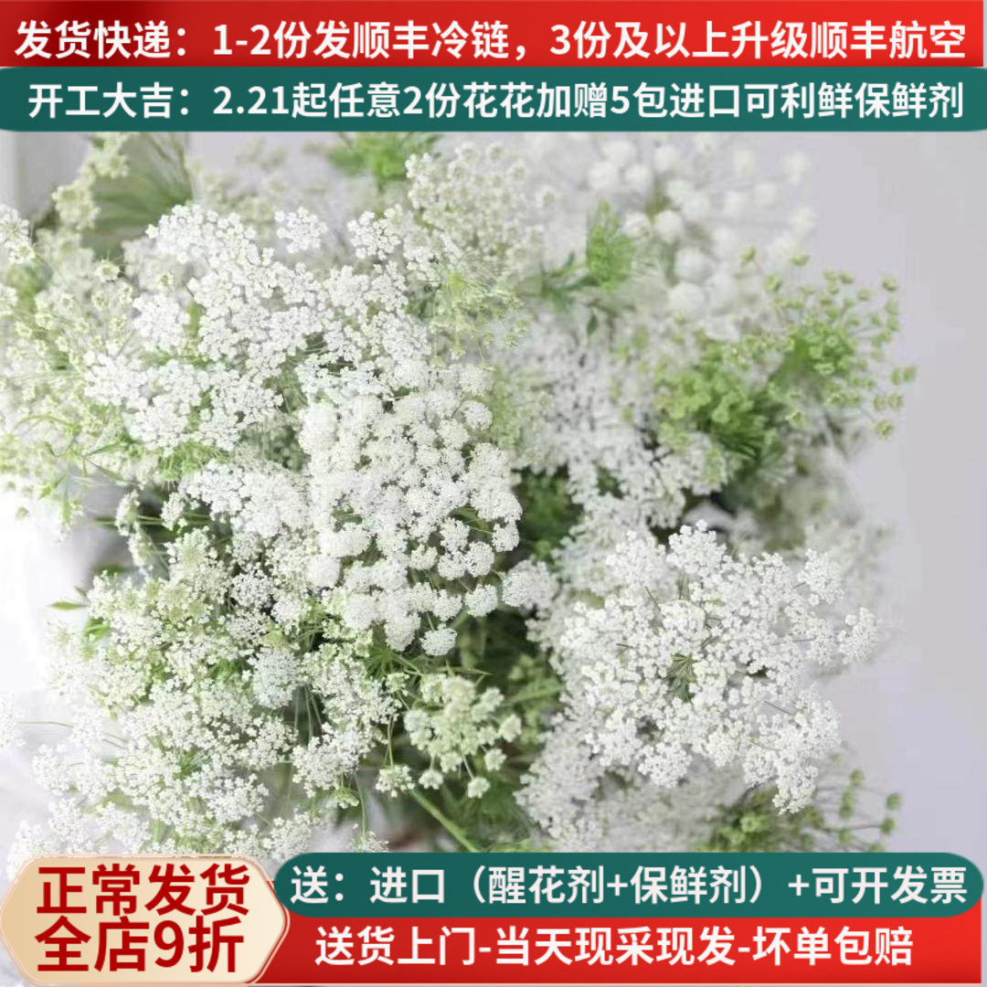 白色蕾丝咖啡色蕾丝小清新配花