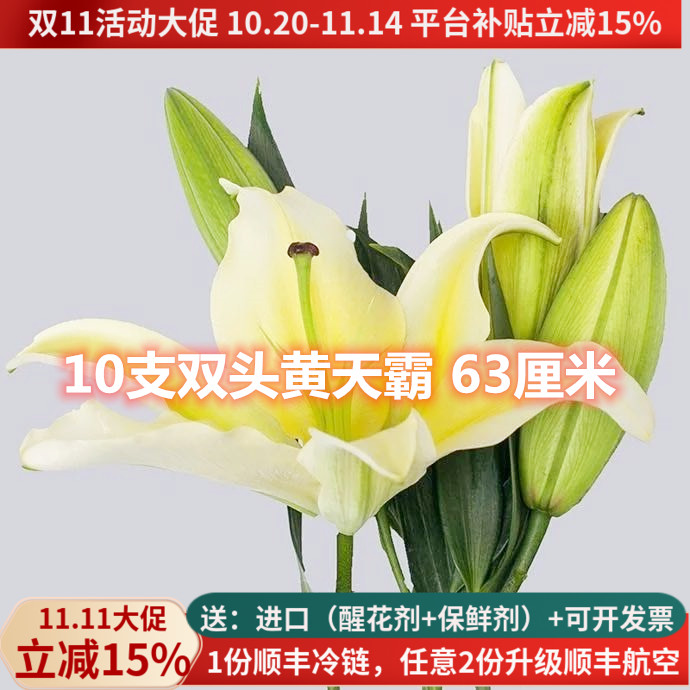 A级香水百合黄天霸10支2头大朵