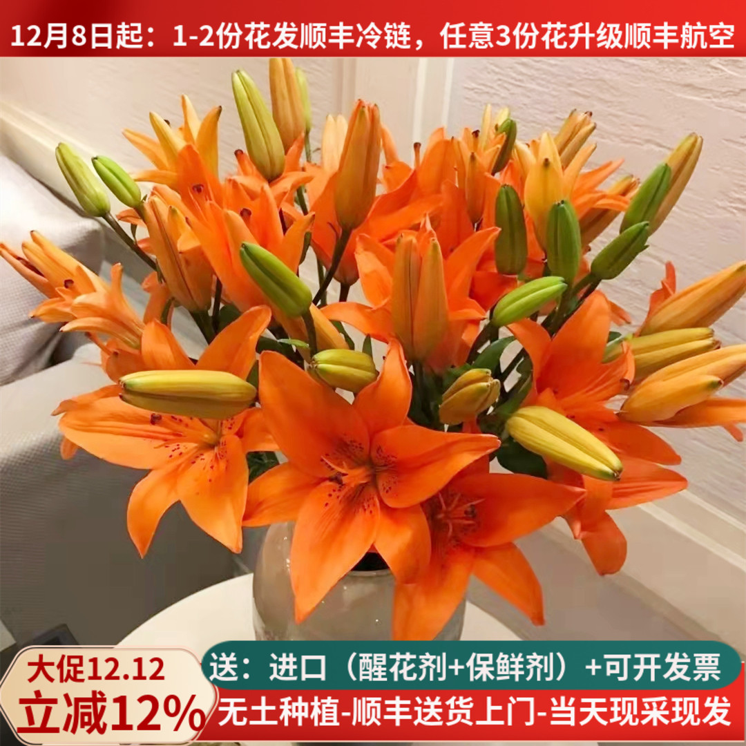 鲜花百合橙色母亲节云南基地直发