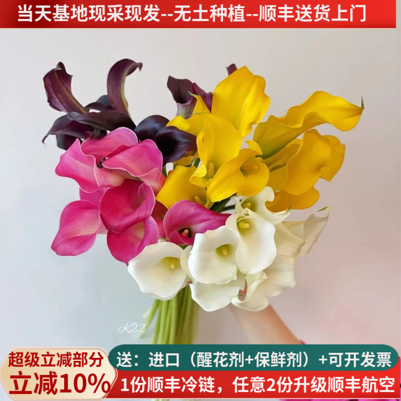 白色母亲节婚礼马蹄莲空运包邮