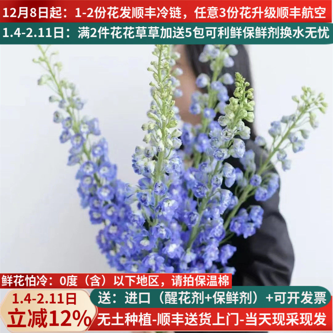 鲜切花大飞燕鲜花云南基地直发批花瓶插花束新鲜家用水养市场顺丰,鲜花速递/花卉仿真/绿植园艺,花材,淘宝优惠券,粉丝福利购,淘宝优惠卷