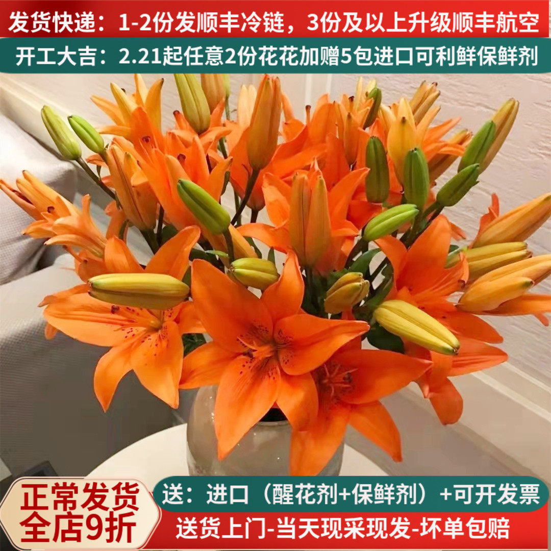 鲜切花橙色亚百合花云南基地直发斗南市场家用水养插花束顺丰