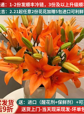 鲜切花橙色亚百合花云南基地直发斗南市场家用水养插花束顺丰