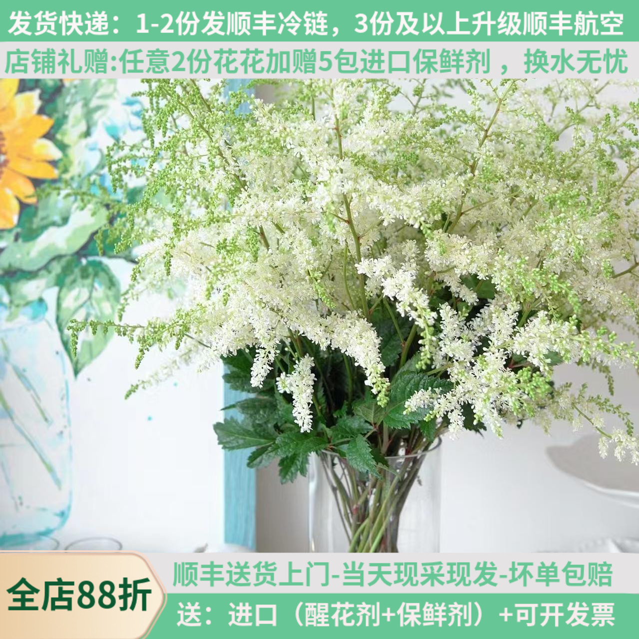 鲜花络新妇网红进口花材云南昆明斗南鲜花基地直发水养插花束白粉