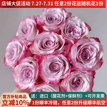 稀有A级玫瑰花洛神雪山高原红云南鲜花基地直发斗南市场插花真花