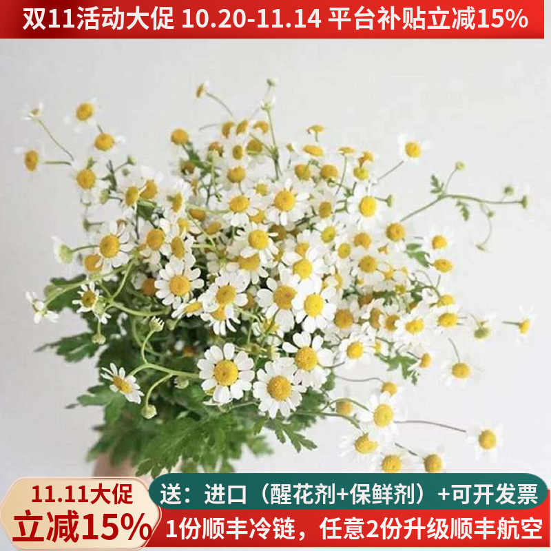 洋甘菊配花云南直发直批花束家用昆明斗南花市基地直供新鲜花束小