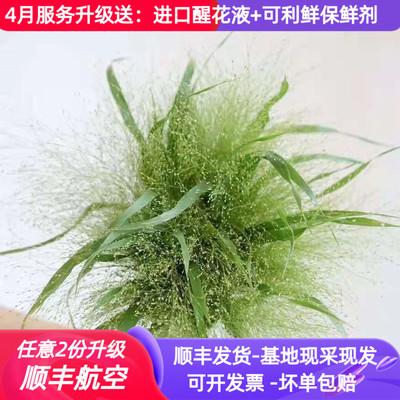 基地直供婚礼花艺昆明斗南喷泉