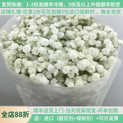 新鲜满天星鲜花教师节花束顺丰