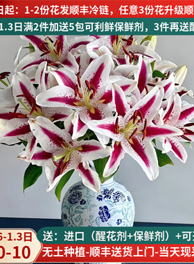 香水百合花鲜花直批百合家用黄天霸水养斗南花束云南花卉昆明市场