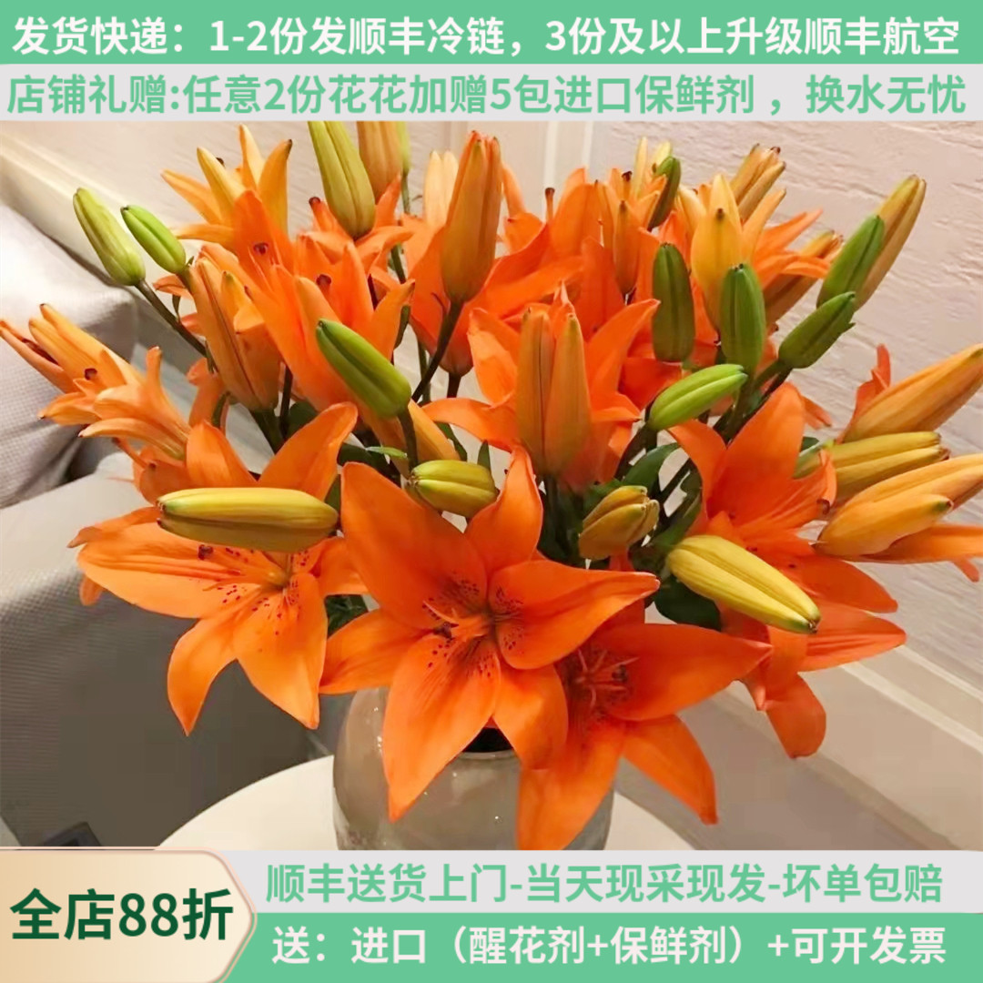鲜切花橙色亚百合花云南基地直发斗南市场家用水养插花束顺丰