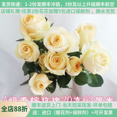 A级香槟玫瑰鲜花情人节20支花束
