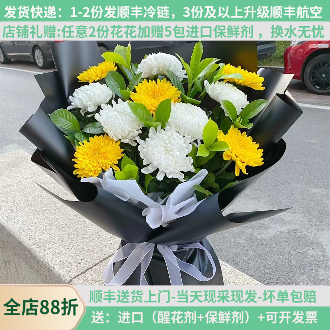 新菊花基地直批发黄白大花清明节