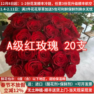 A级高原红传奇红玫瑰鲜花云南昆明斗南市场基地直批直发家用水养