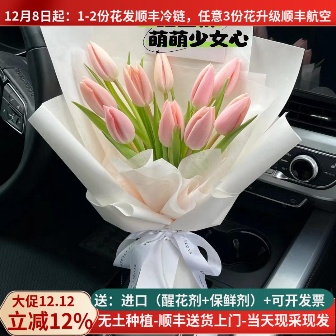 A级郁金香多色可选当天采摘基地