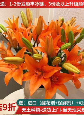 鲜切花橙色亚百合花云南基地直发斗南市场家用水养插花束顺丰