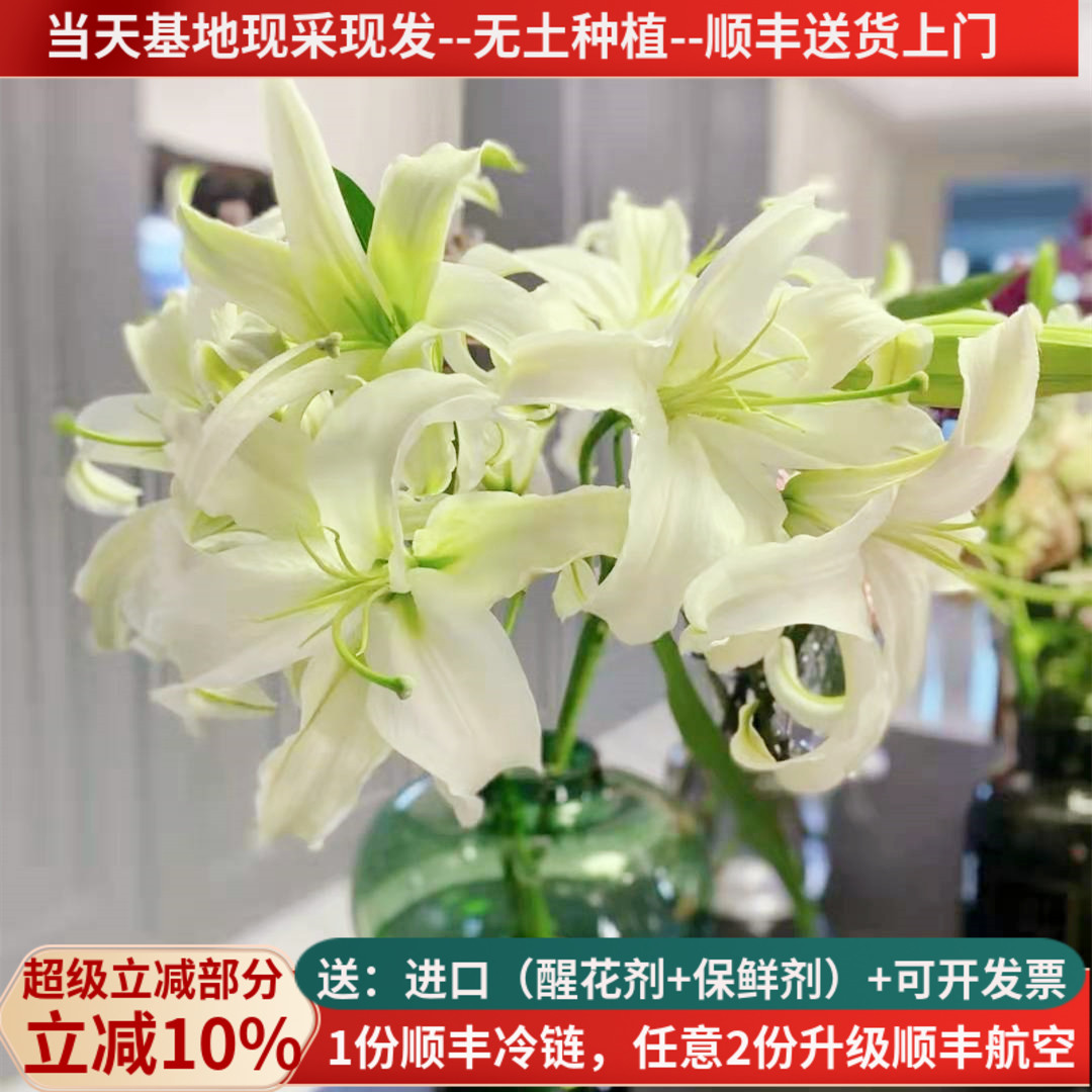 西比利亚香水百合花白云南昆明
