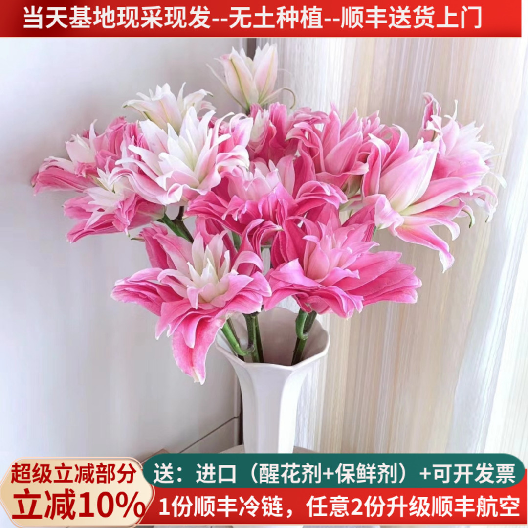 重瓣香水百合多品种现采现发