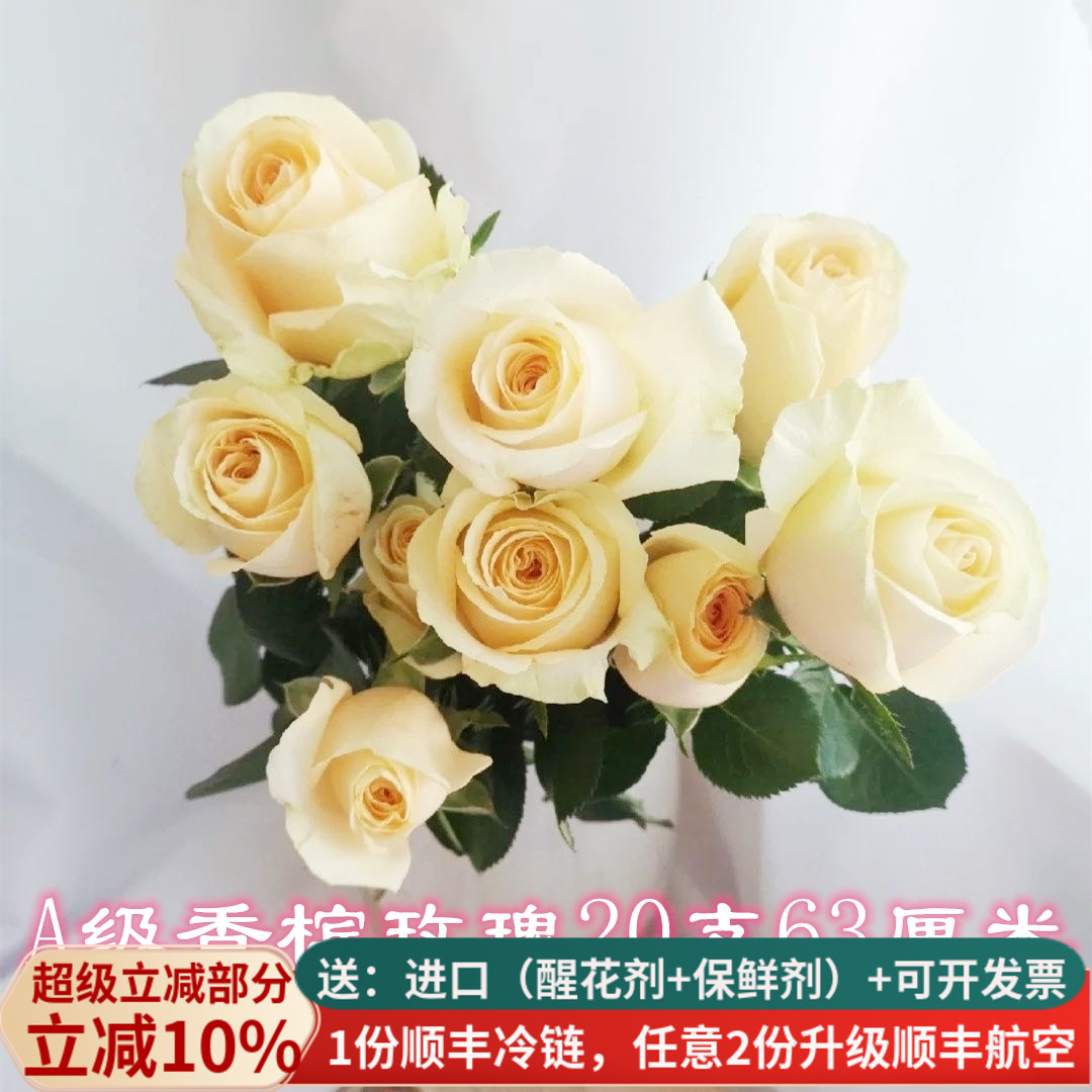 A级香槟玫瑰鲜花情人节20支花束