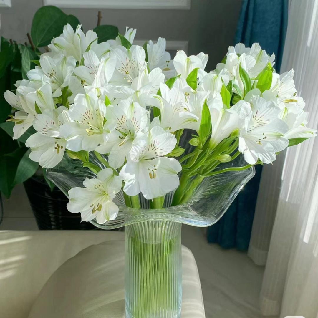 水仙百合鲜花六出花云南斗南花市花卉直发直批花束家用水养插花