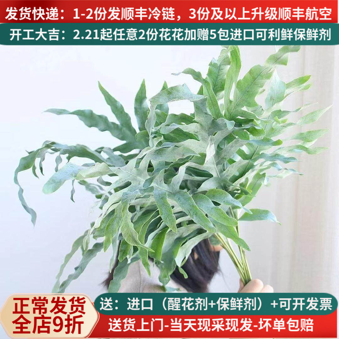 网红叶鱼骨形状配叶花束