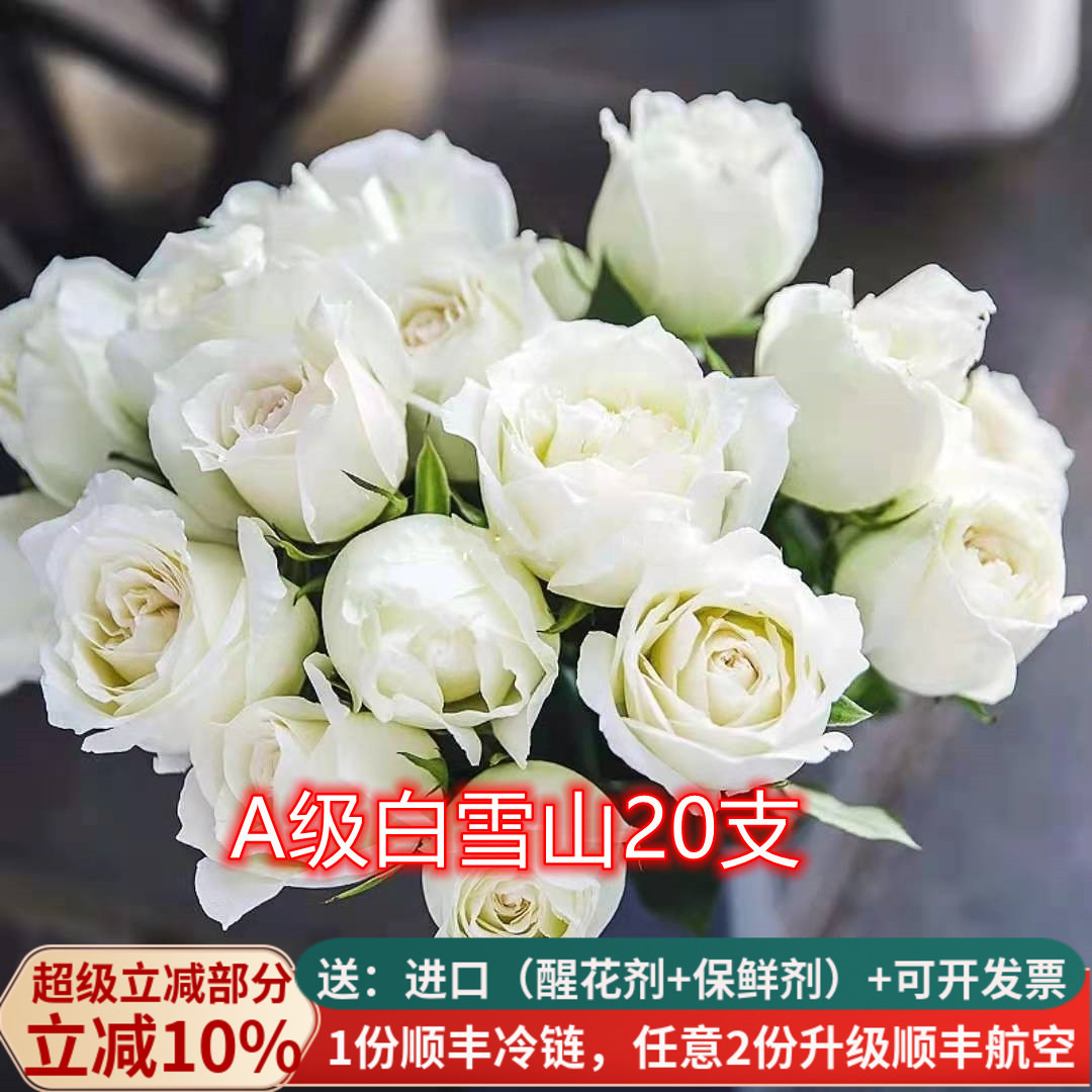 A级白雪山玫瑰鲜切花白色大花云南基地自发直批婚礼昆明斗南直供