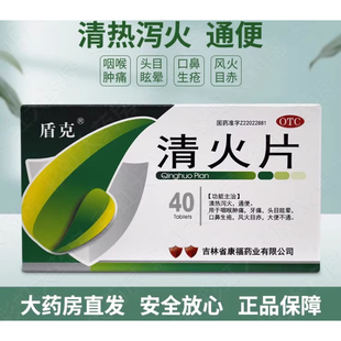 40片 0.19g 清热泻火通便治疗咽喉肿痛牙痛头 清火片 盾克