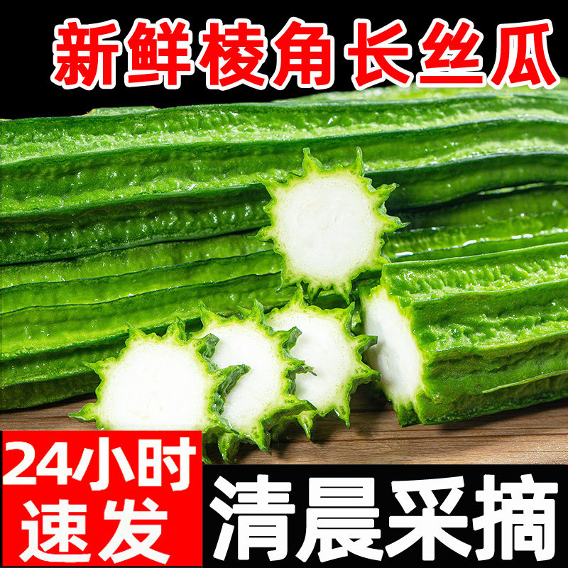 棱丝瓜新鲜棱角白玉丝瓜甜绿皮孕妇香丝瓜圆苹果应季蔬菜包邮
