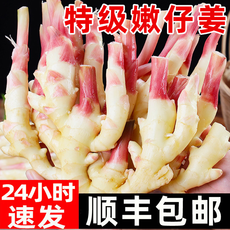 嫩姜新鲜大仔姜子姜山东红芽生姜5斤非云南小黄糖醋老鲜姜指头姜