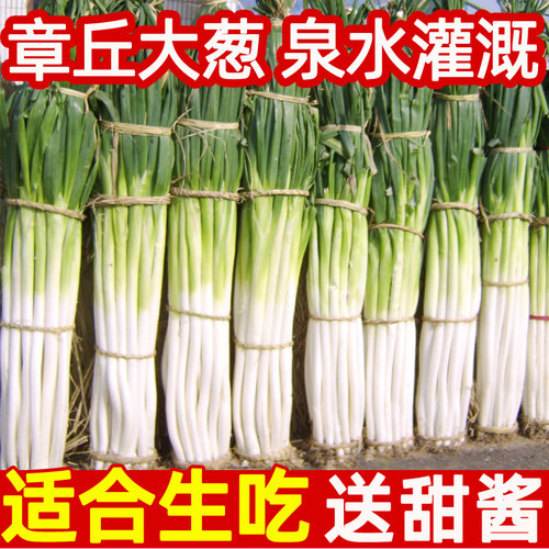 特级山东章丘大葱送甜酱甜脆葱
