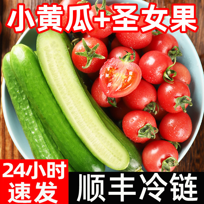 圣女果水果小黄瓜新鲜包邮小青瓜樱桃小番茄西红柿子生吃脆甜
