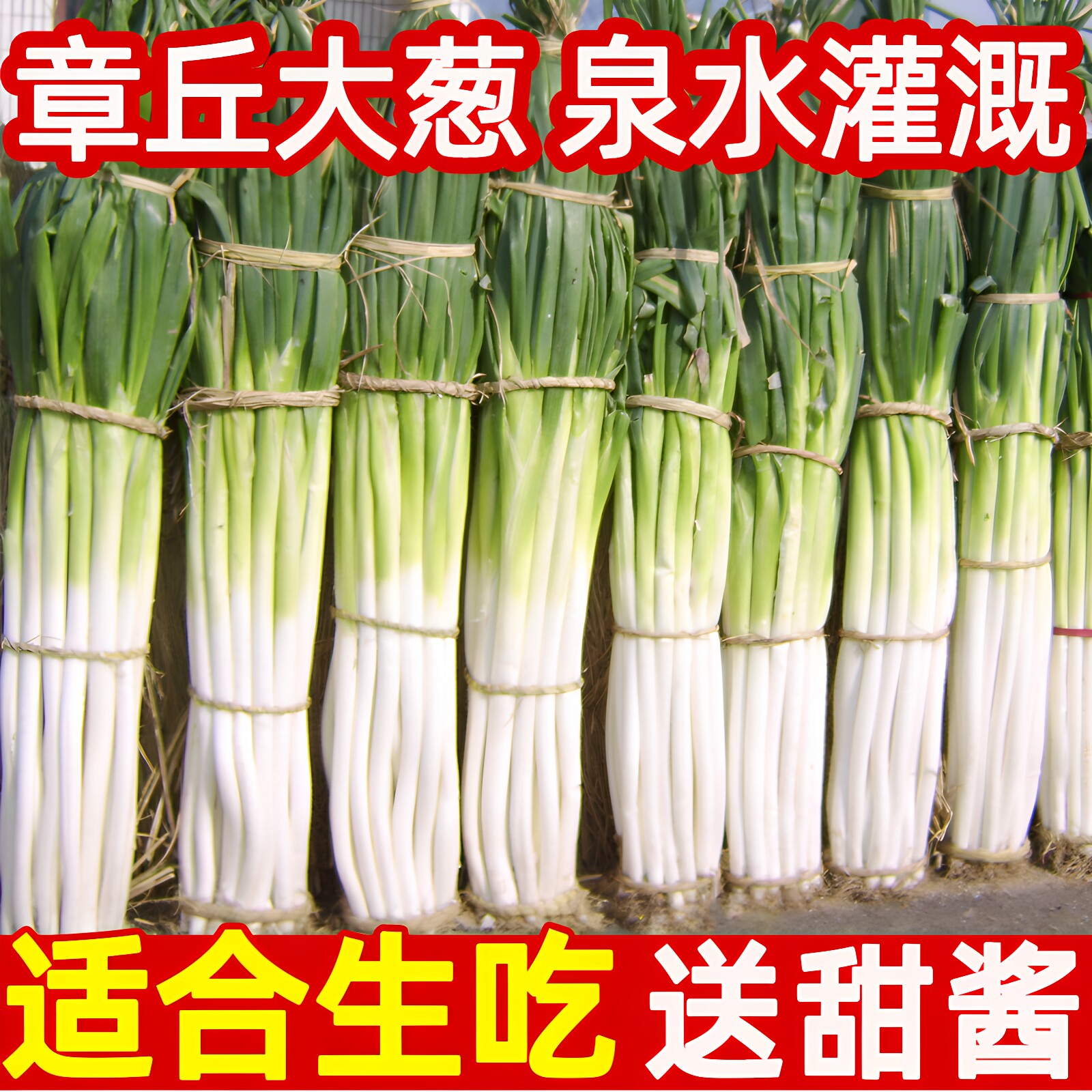 山东章丘大葱新鲜特级送甜酱铁杆大葱香辣脆甜葱非圆洋东北红葱头
