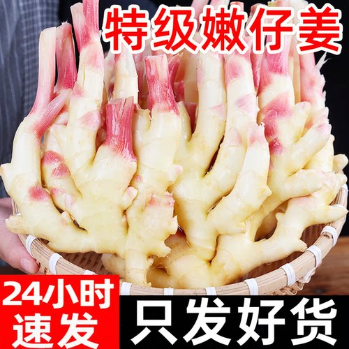 顺丰嫩姜大仔姜指头现挖农家仔姜