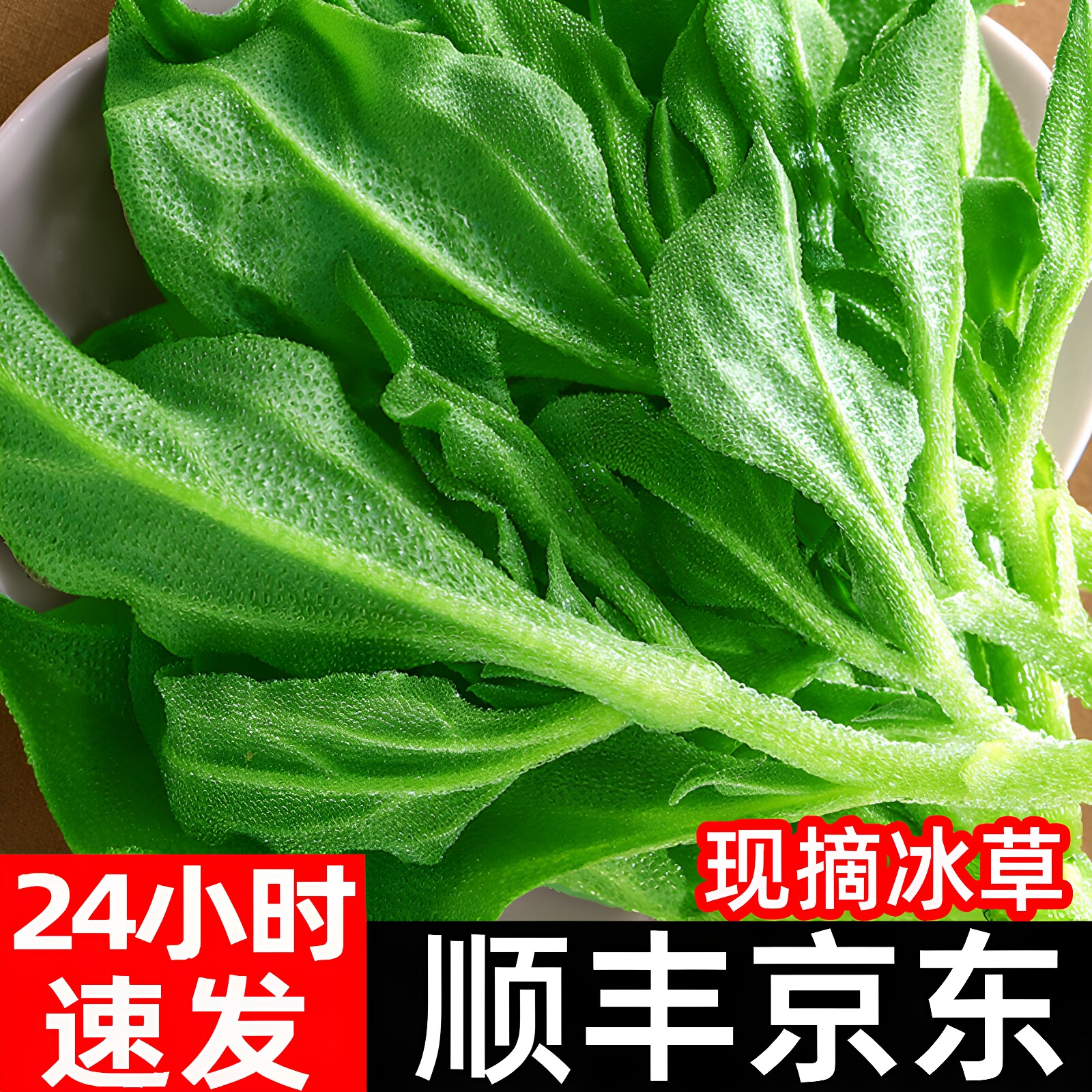 新鲜冰草冰菜沙拉菜非洲冰菜火锅即食生吃生菜送沙拉酱西餐厅顺丰