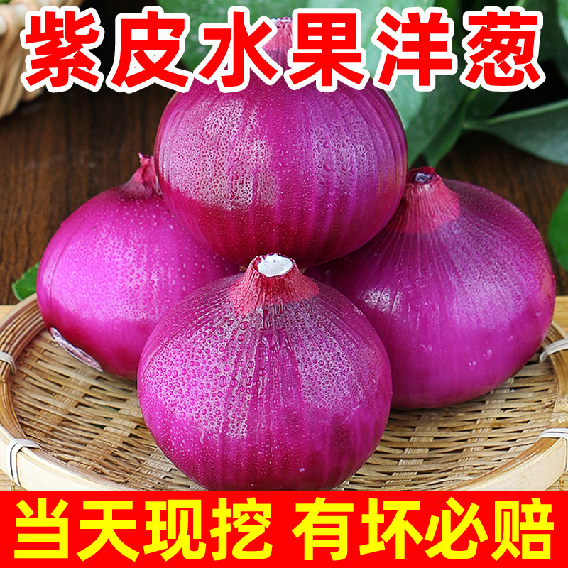 紫皮洋葱新鲜洋葱头农家蔬菜