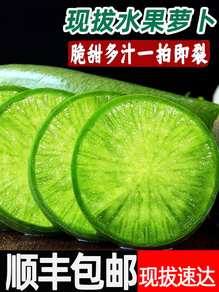 潍坊水果萝卜新鲜甜脆水果型萝卜顺丰潍县青冰淇淋凤梨胡红萝卜