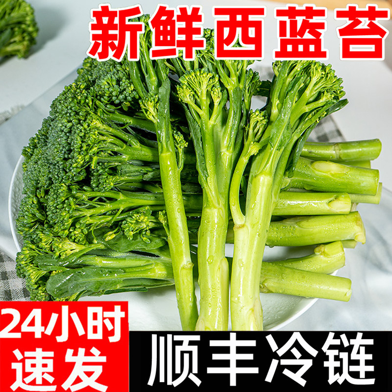 甜杆西蓝苔顺丰包邮新鲜西蓝花笋苔芦笋西兰花苔菜苔蔬菜花菜苔