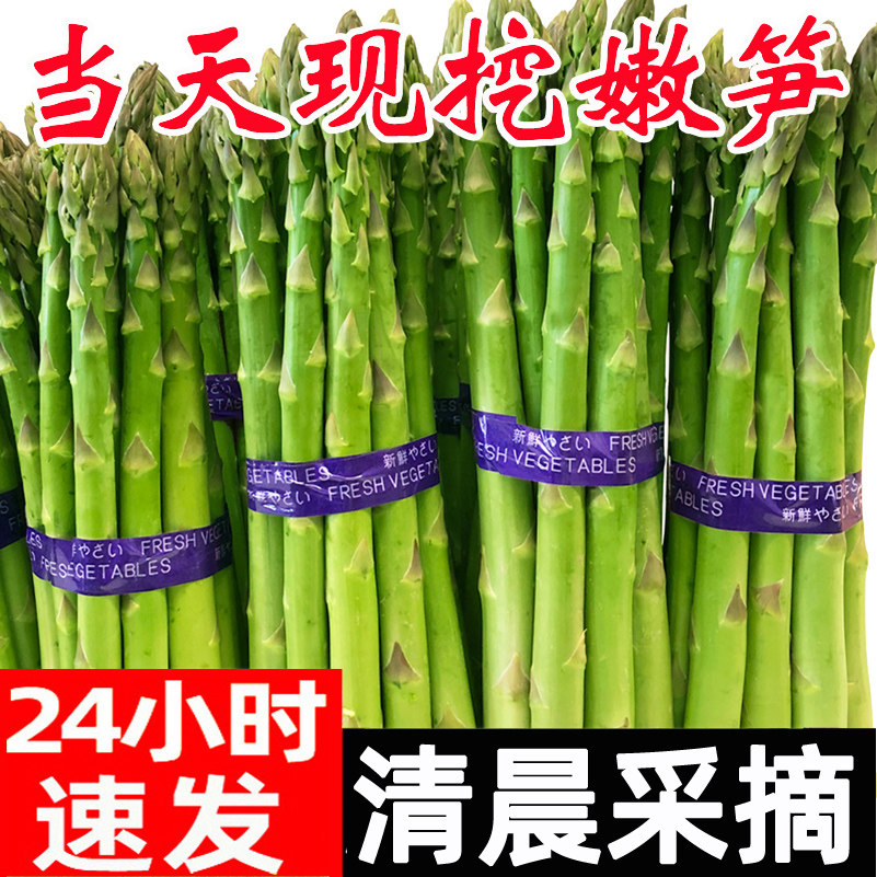 新鲜芦笋山东特产绿芦笋农家青笋新鲜蔬菜包邮春笋竹笋龙须菜