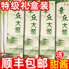 正宗章丘大葱10斤新鲜顺丰甜脆香葱山东大葱包邮礼盒装蔬菜包邮