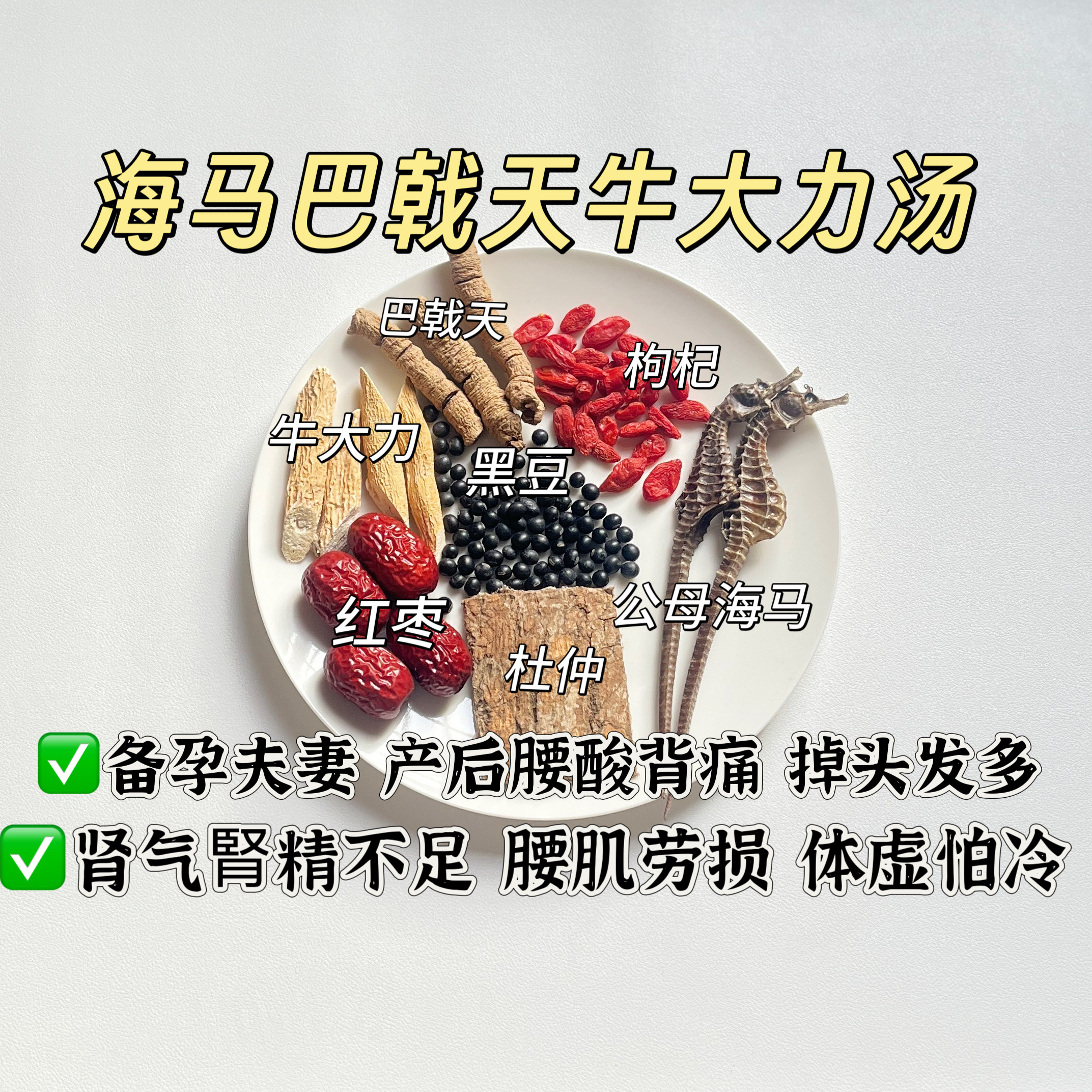 海马牛大力杜仲巴戟天黑豆枸杞汤包煲汤月子汤产后备孕男女皮夹克