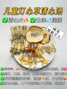 灯芯草雪梨海底椰麦冬煮水煲汤儿童清心汤小儿积食宝宝清内热上火