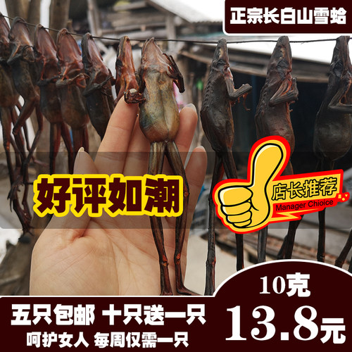 正宗长白山雪蛤干整只10克林蛙干
