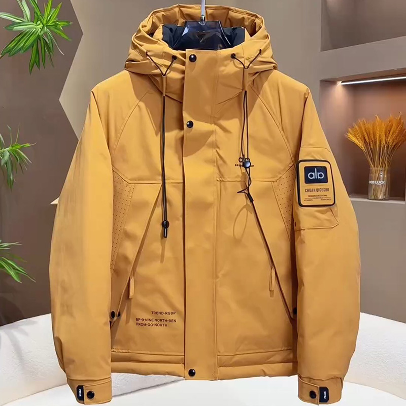 高端男士冬季设计感连帽羽绒服