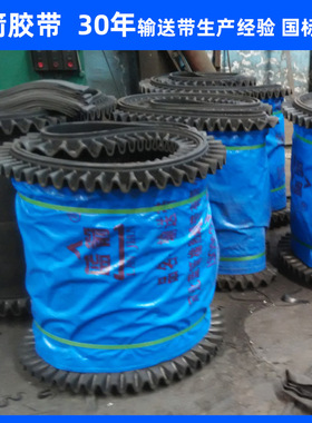 河北蓝箭供应EP150给煤机用阻燃裙边皮带 环型计量带 挡边输送带