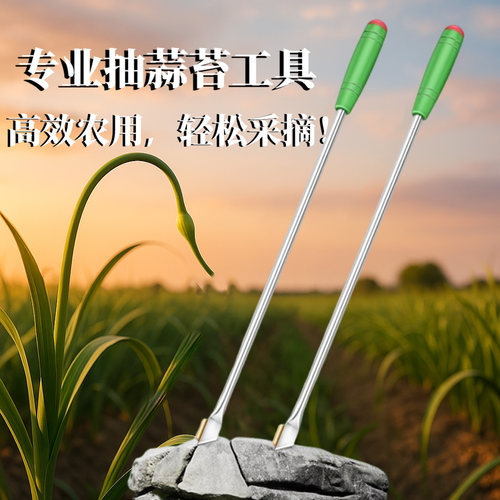 蒜苔收割刀加长不锈钢抽蒜苔拔蒜苔工具蒜薹刀打蒜苔划剥蒜苔神器