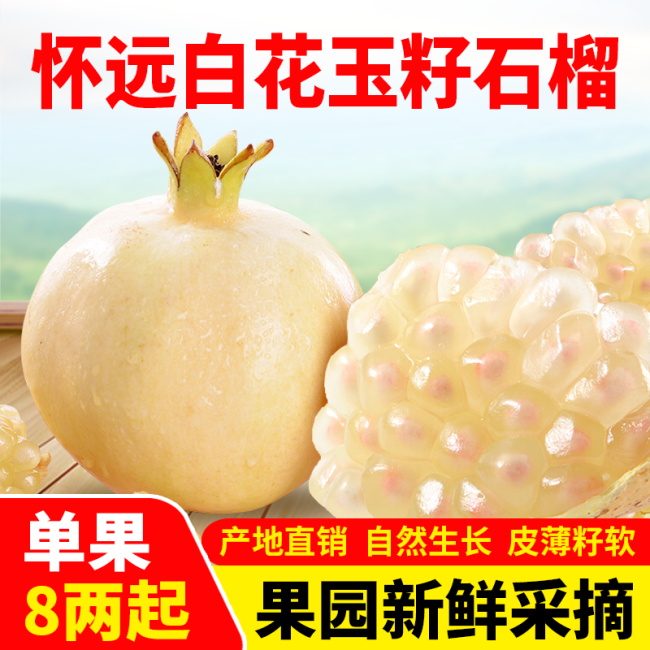 正宗安徽怀远白石榴 白花白皮白玉石籽 特产现摘特大水果10斤包邮