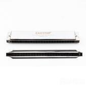 高档E方asttop东鼎T2403器生初学儿童成人演奏乐专业24孔复学音口