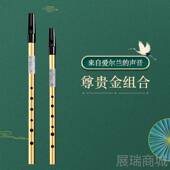高档爱尔兰哨笛初者竖笛锡笛CD调笛子专业演奏音高调直笛乐器学生