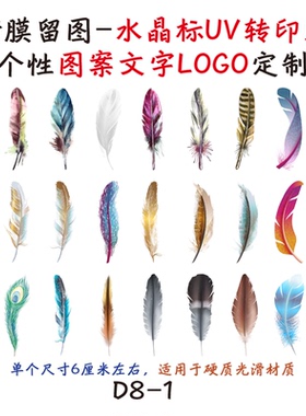 撕膜留图飞禽羽毛水晶标转印贴